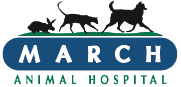 March Animal Hospital