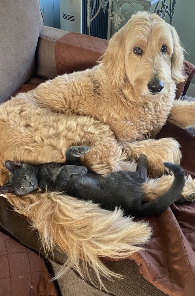 Mowgli and Malone