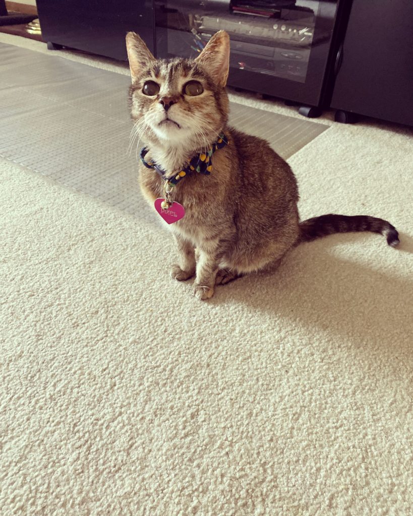 Pixel